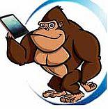 Ein Handy für den Gorilla